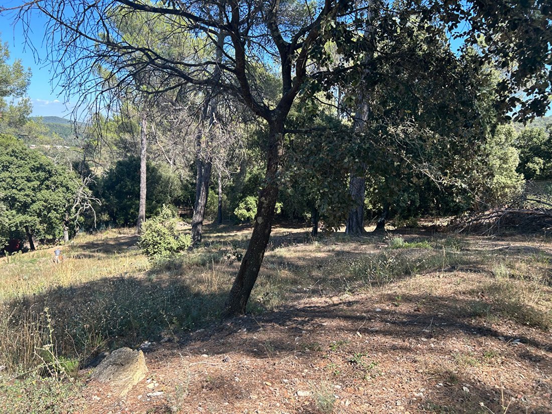Villa in Tourves, Provence-Alpes-Côte d'Azur, France 3 - 18904832