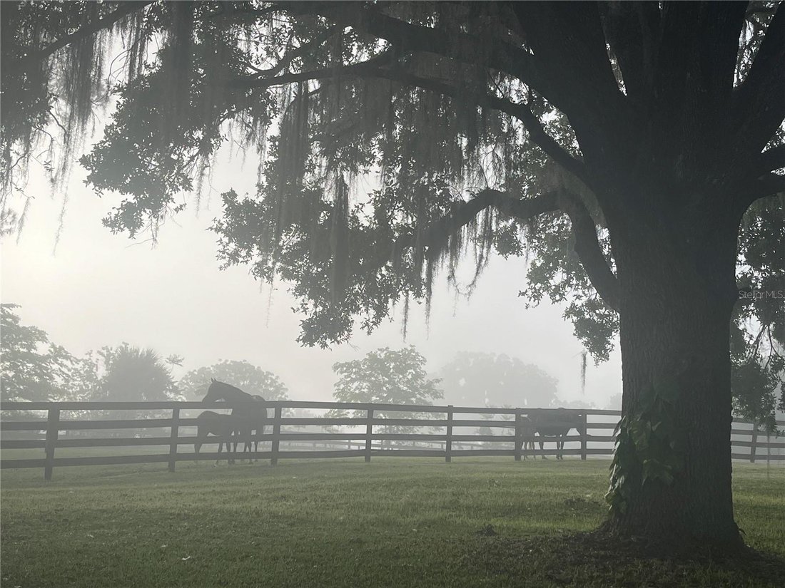 House in Ocala, Florida, United States 2 - 18909135