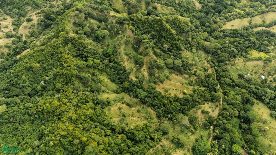 Land in Lepanto, Provinz Puntarenas, Costa Rica 2 - 18915208