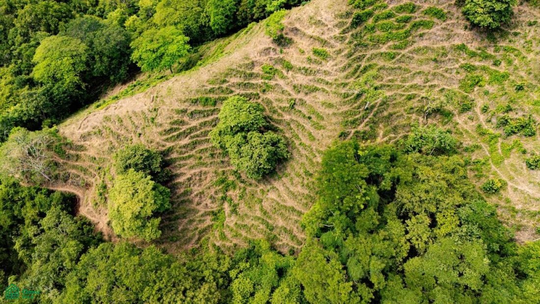 Land in Lepanto, Provinz Puntarenas, Costa Rica 5 - 18915208