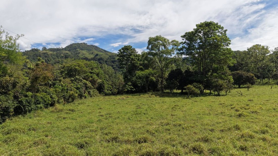 Land in Rivas, San José Province, Costa Rica 1 - 18914165