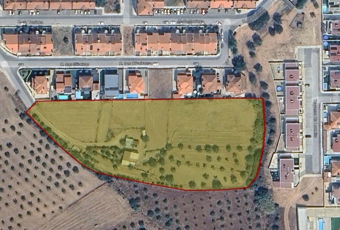 Vila Nova da Barquinha, Santarem District, Portugal 1 - 18918913