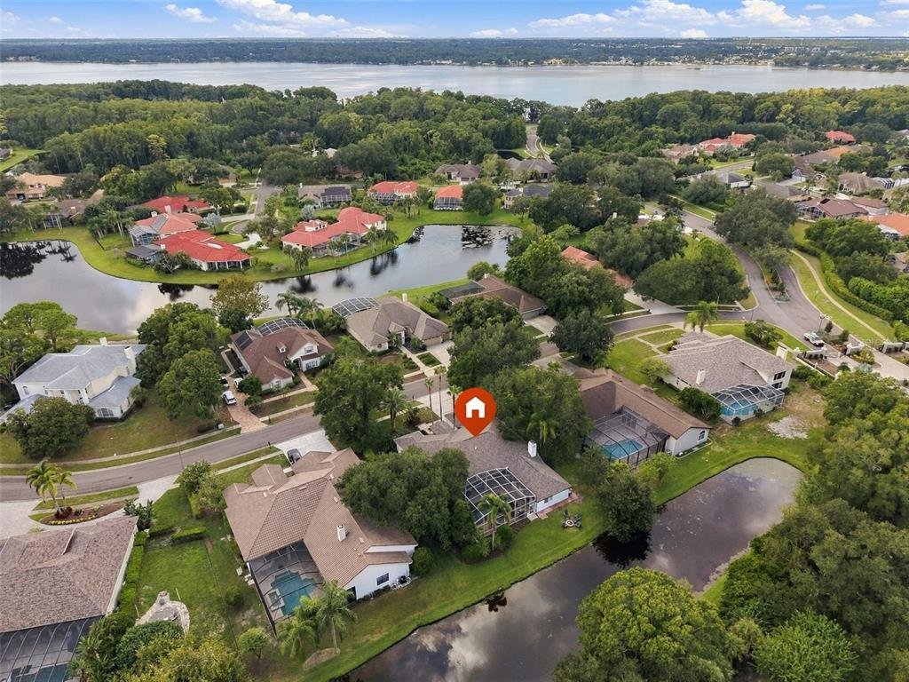 House in Palm Harbor, Florida, United States 5 - 18905139