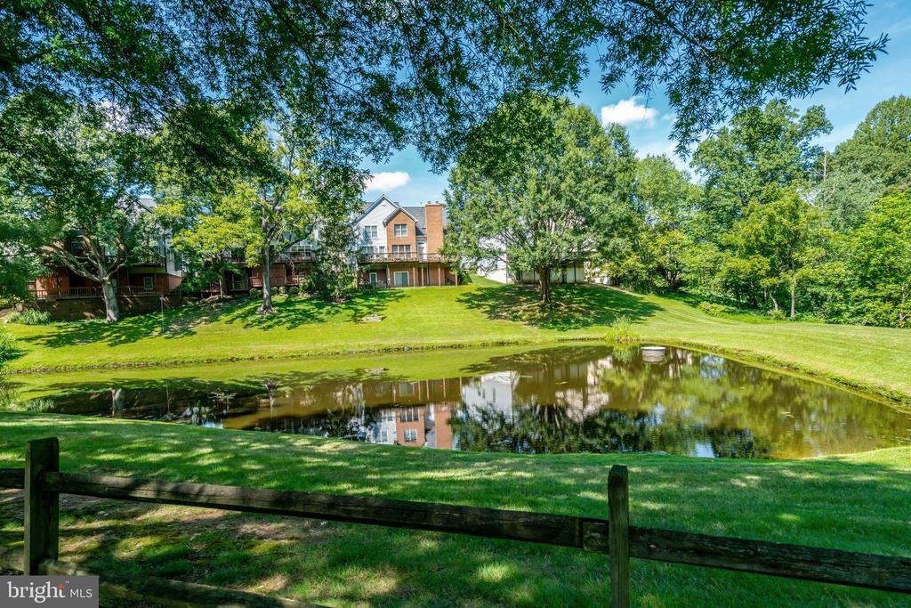 Haus in West Falls Church, Virginia, Vereinigte Staaten 4 - 18921511