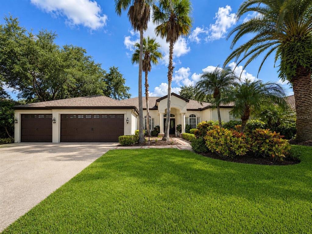 House in Palm Harbor, Florida, United States 1 - 18905139