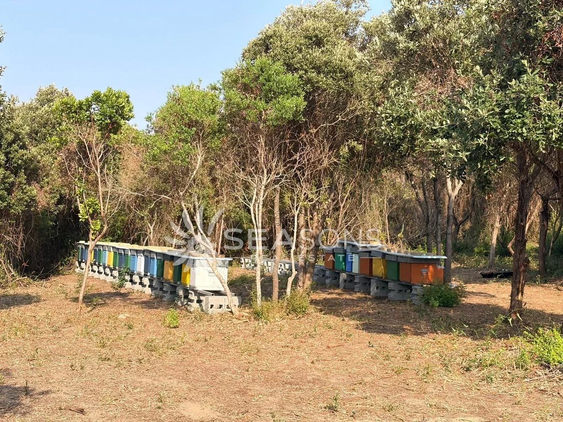 Casa a Aglientu, Sardegna, Italia 2 - 15612298