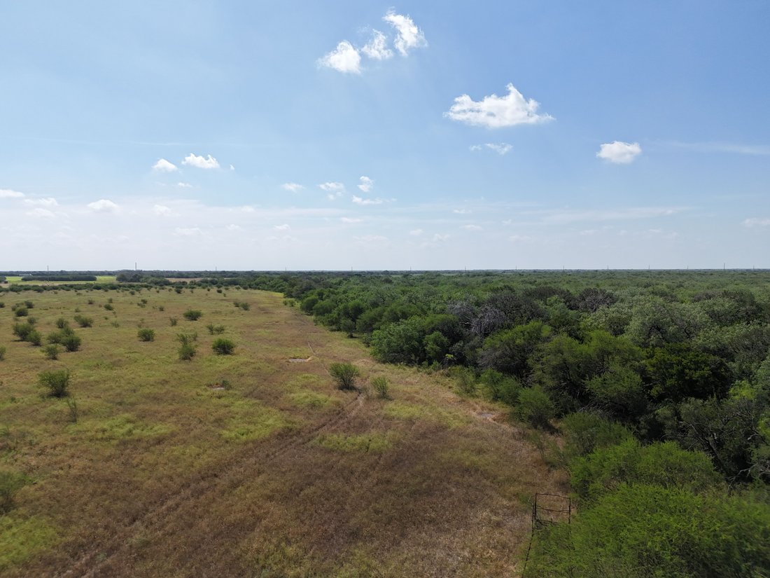 Farm Ranch in Alice, Texas, United States 1 - 18905155