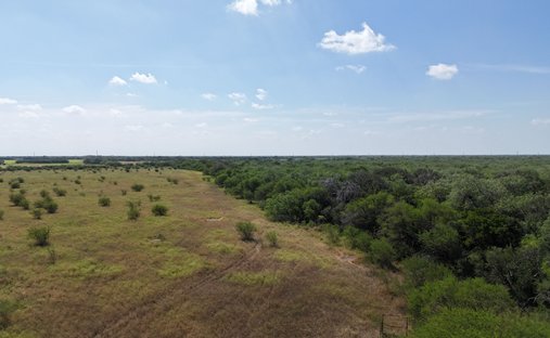 Farm Ranch in Alice, Texas, United States 1