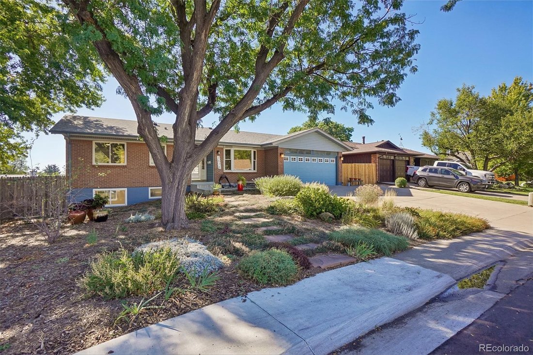 Lakewood, Colorado, United States 3 - 18908489