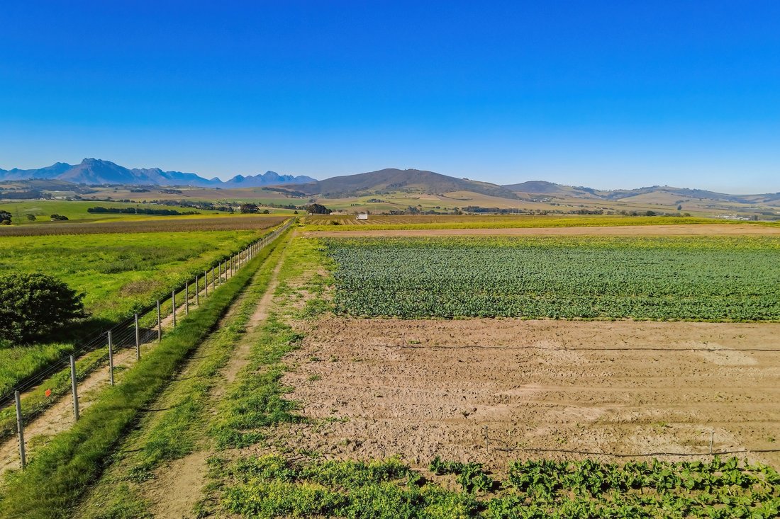 Farm Ranch in Greenway Rise, Helderberg, Cape Town 5 - 18915321