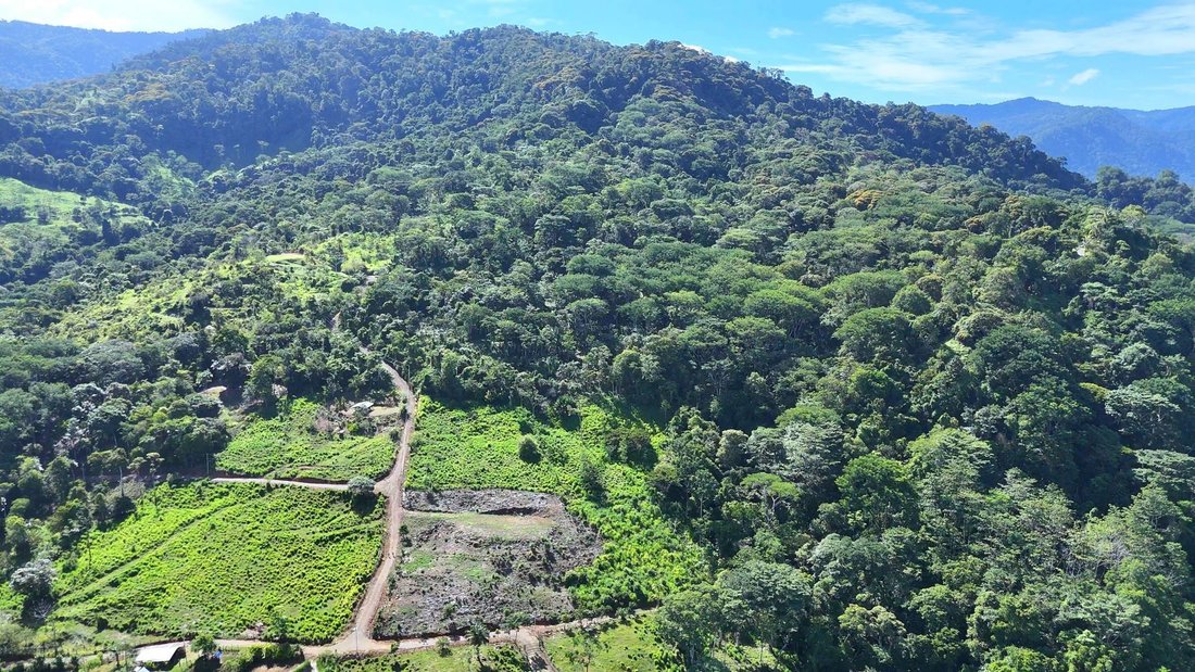 Land in Uvita, Provinz Puntarenas, Costa Rica 5 - 18914159