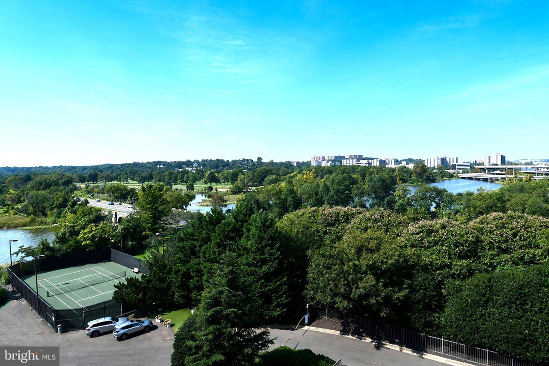 Condo in Alexandria, Virginia, United States 1 - 18694199