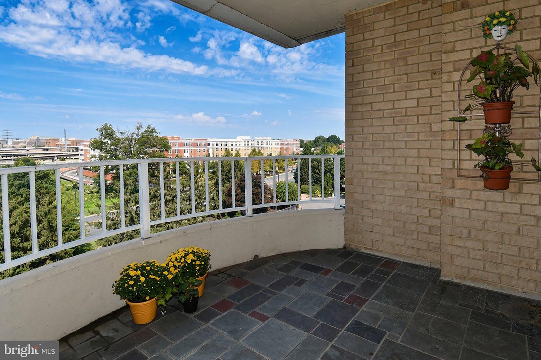 Condo in Alexandria, Virginia, United States 4 - 18694199