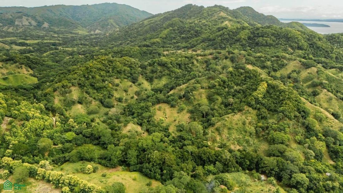 Land in Lepanto, Provinz Puntarenas, Costa Rica 1 - 18915208