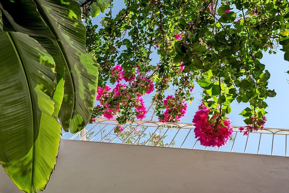 Apartamento en Campos, Islas Baleares, España 2 - 18907837