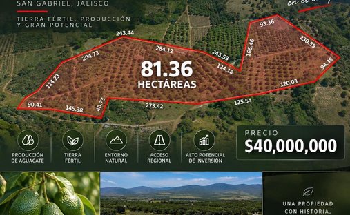 Land in Municipio San Gabriel, Jalisco, Mexiko 1