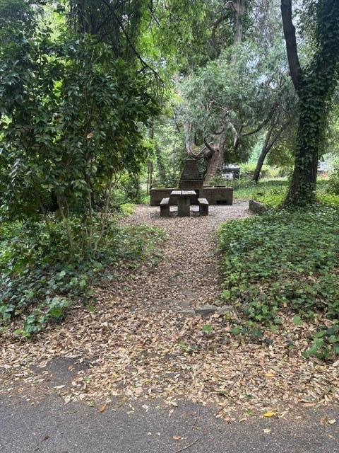 Boulder Creek, California, United States 2 - 18917025