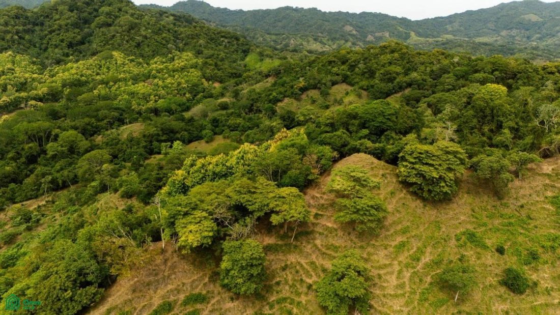 Land in Lepanto, Provinz Puntarenas, Costa Rica 4 - 18915208
