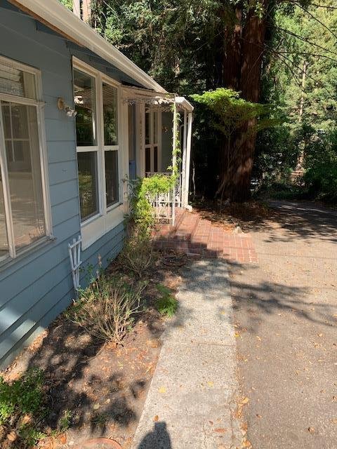 Boulder Creek, California, United States 4 - 18917025