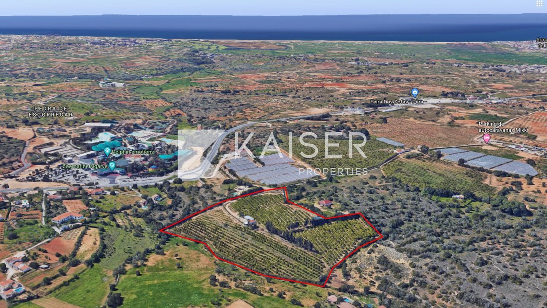 Villa in Alcantarilha, Algarve, Portugal 4 - 10904787