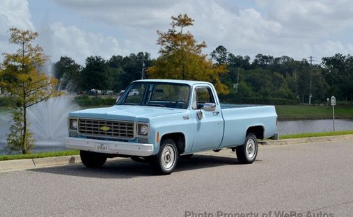 Chevrolet C10 in Calverton, NY, United States 1