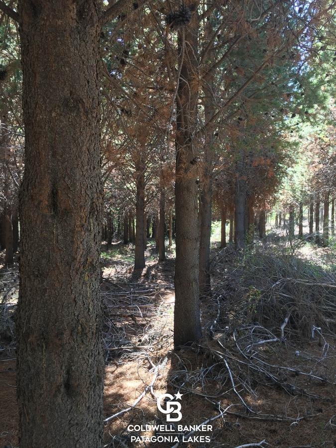 Land in Pilcaniyeu, Argentina 5 - 18908121