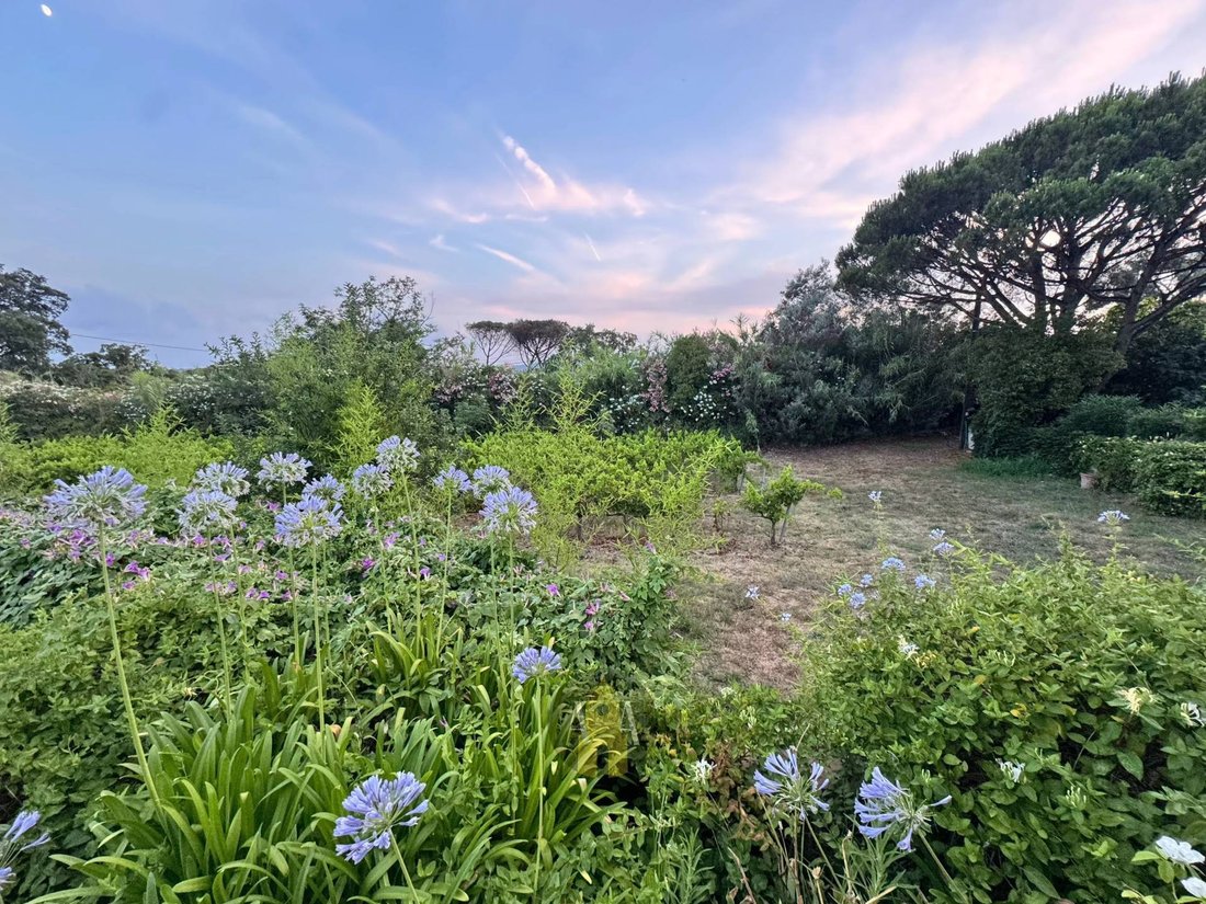 Villa in Zone Est Diffuse, Sankt Tropez, Frankreich 4 - 18261235