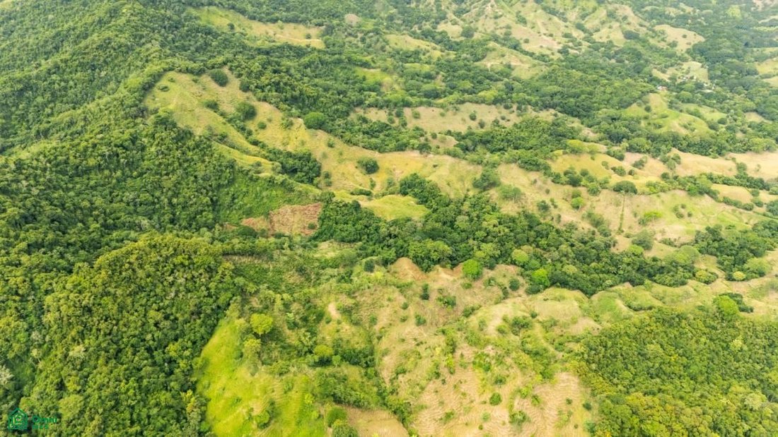 Land in Lepanto, Provinz Puntarenas, Costa Rica 3 - 18915208