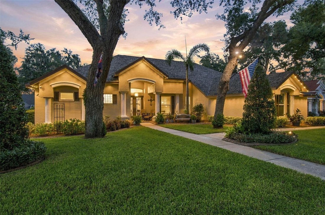 House in Valrico, Florida, United States 1 - 18917171