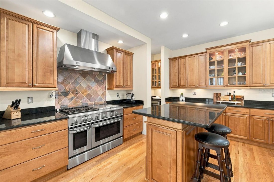 House in Tampa, Florida, United States 5 - 18909859
