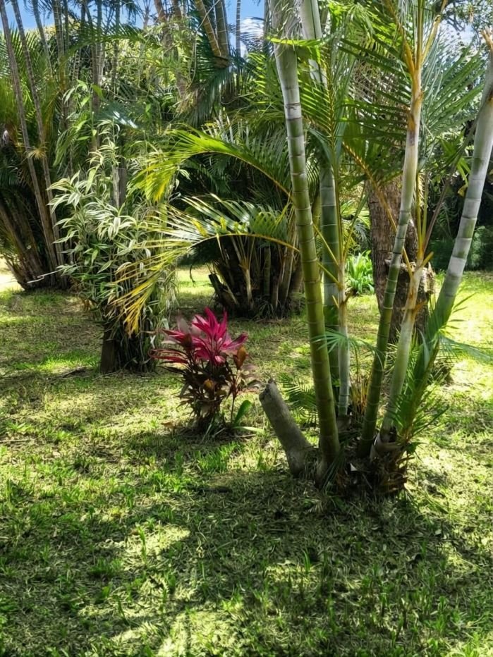 Land in San Rafael, Heredia Province, Costa Rica 4 - 18914175