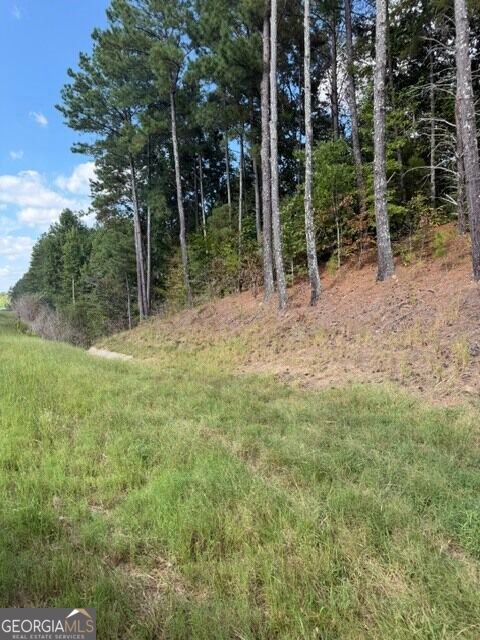 Terreno en Ball Ground, Georgia, Estados Unidos 5 - 18727006