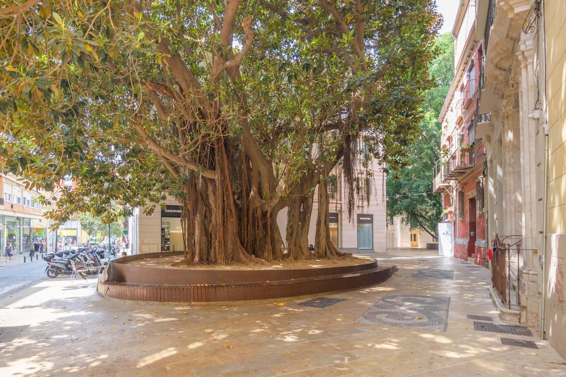 Penthouse in Centro, Malaga, Spain 4 - 18905820