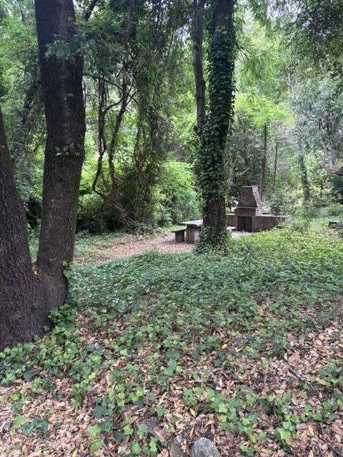 Boulder Creek, California, United States 3 - 18917025