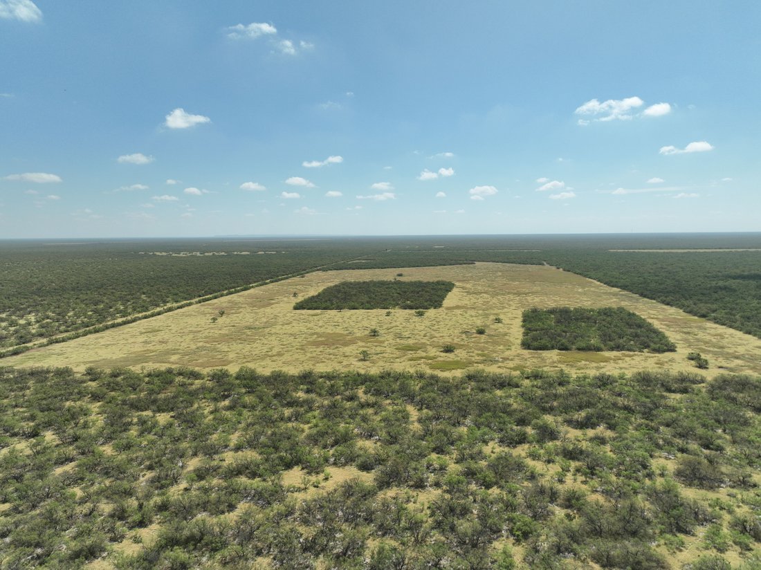 Corps de ferme à Quemado, Texas, États-Unis 3 - 18921840