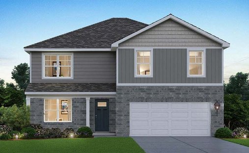 House in Tinley Park, Illinois, United States 1