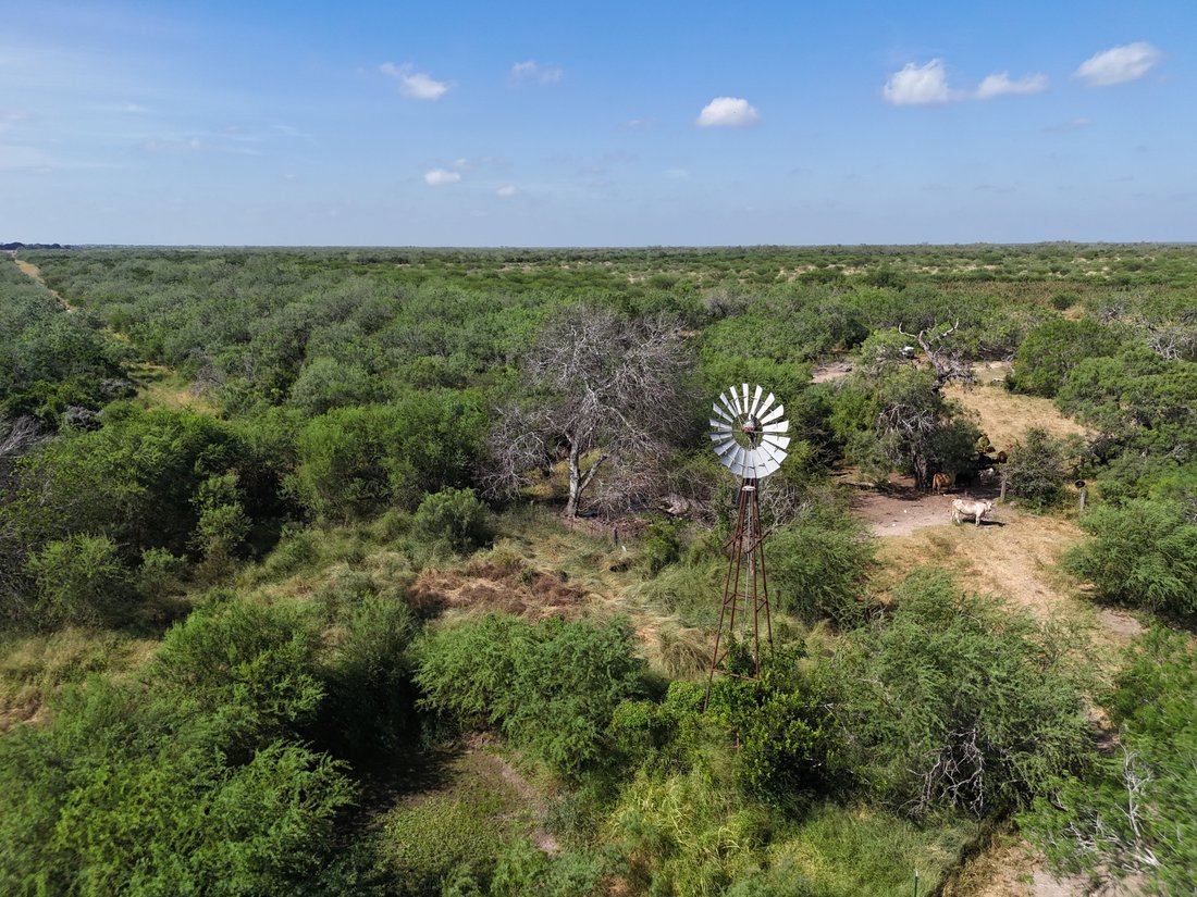 Farm Ranch in Alice, Texas, United States 3 - 18905155