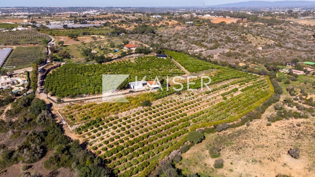 Villa in Alcantarilha, Algarve, Portugal 3 - 10904787
