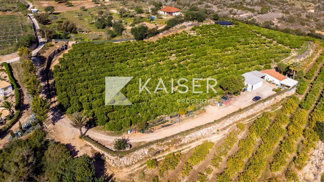 Villa in Alcantarilha, Algarve, Portugal 2 - 10904787