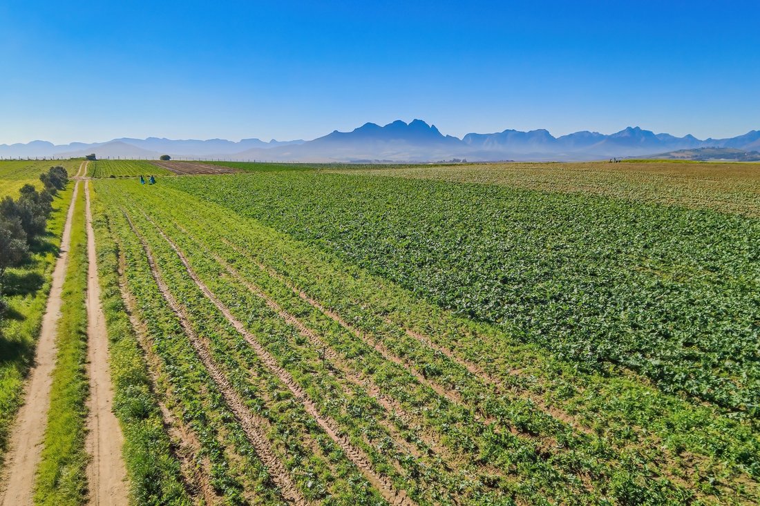 Farm Ranch in Greenway Rise, Helderberg, Cape Town 4 - 18915321