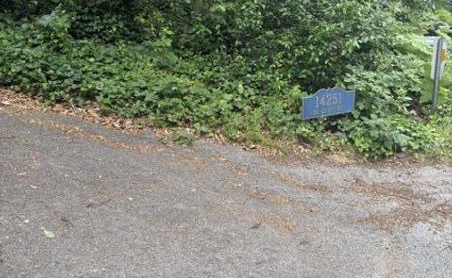 Boulder Creek, California, United States 1