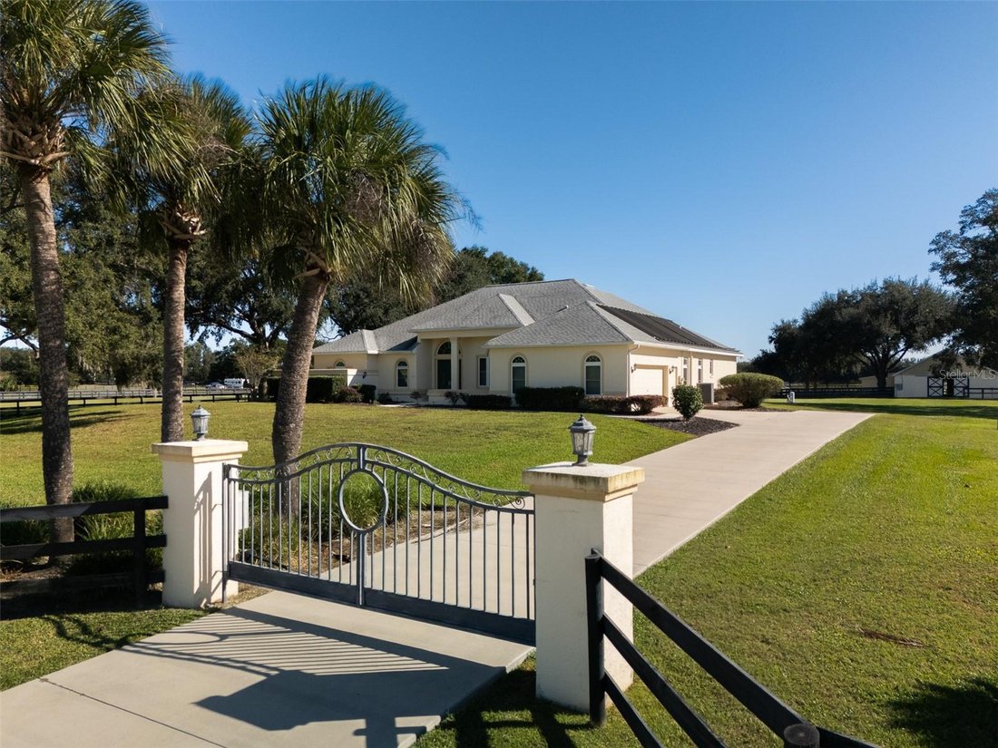 Azienda agricola a Ocala, Florida, Stati Uniti 3 - 18909079