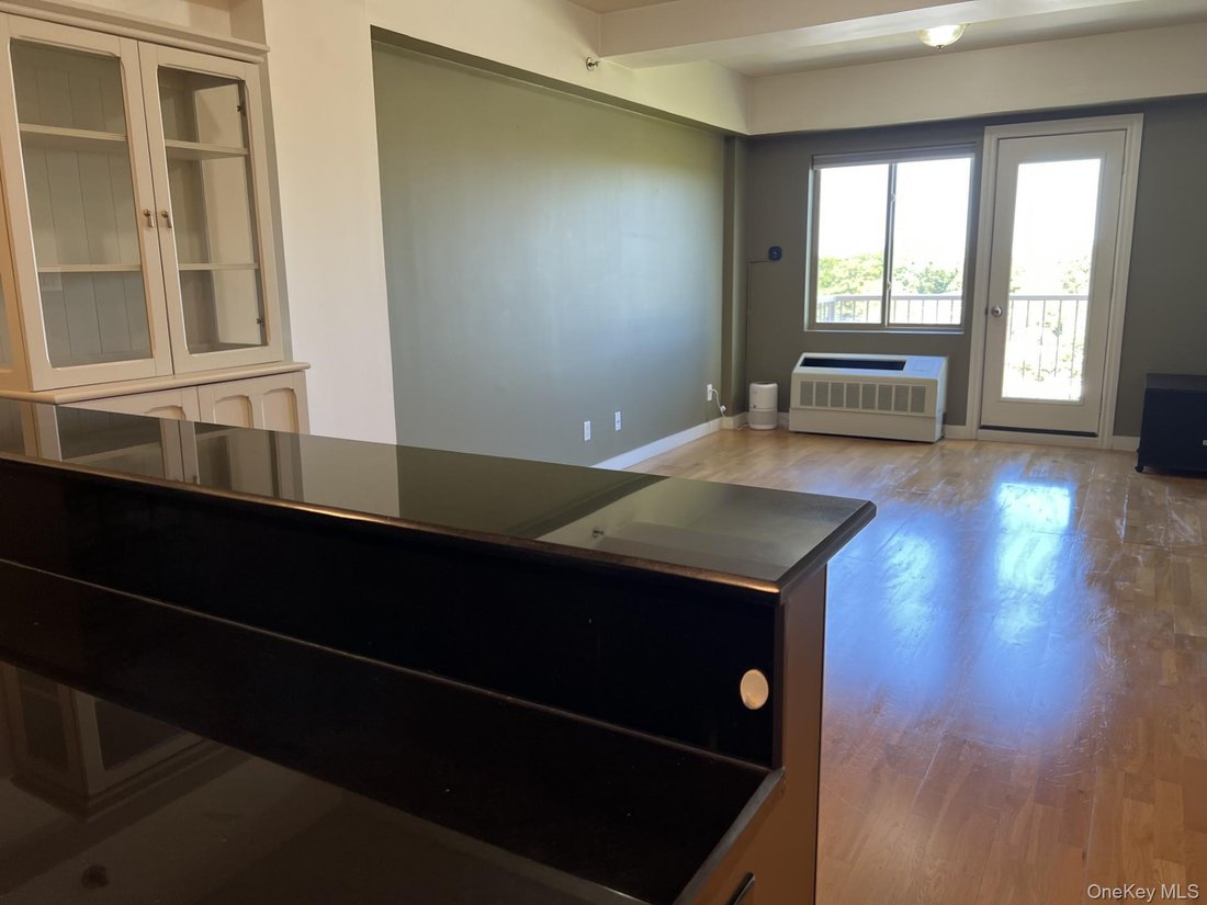 Condo in New York, New York, United States 4 - 18917487