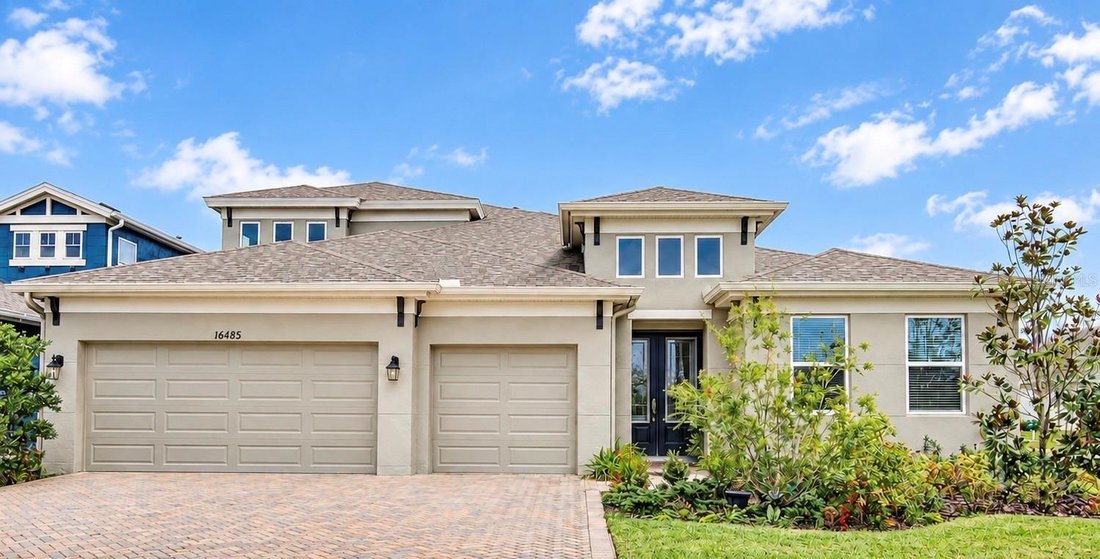 House in Land O' Lakes, Florida, United States 1 - 18330702