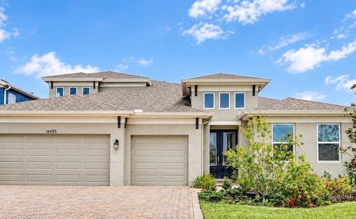 House in Land O' Lakes, Florida, United States 1