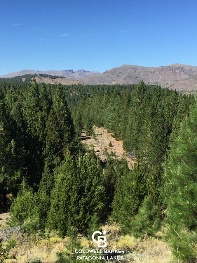 Land in Pilcaniyeu, Argentina 1 - 18908121