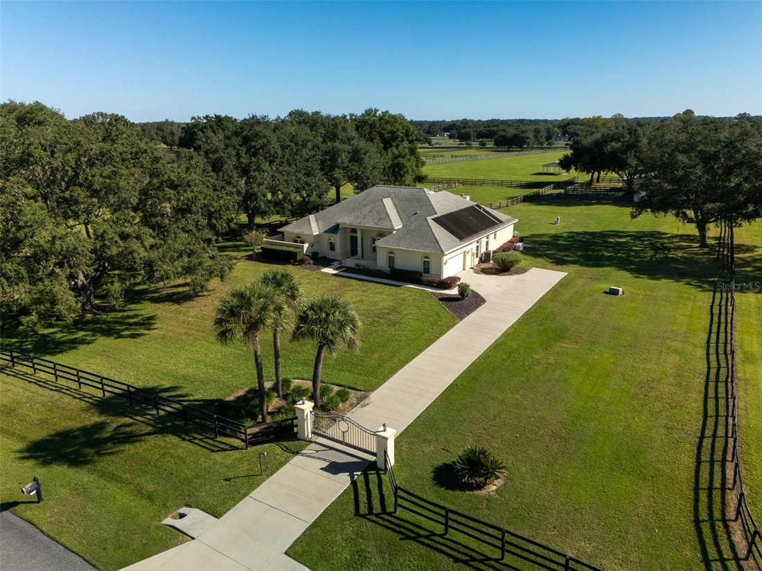 Azienda agricola a Ocala, Florida, Stati Uniti 1 - 18909079