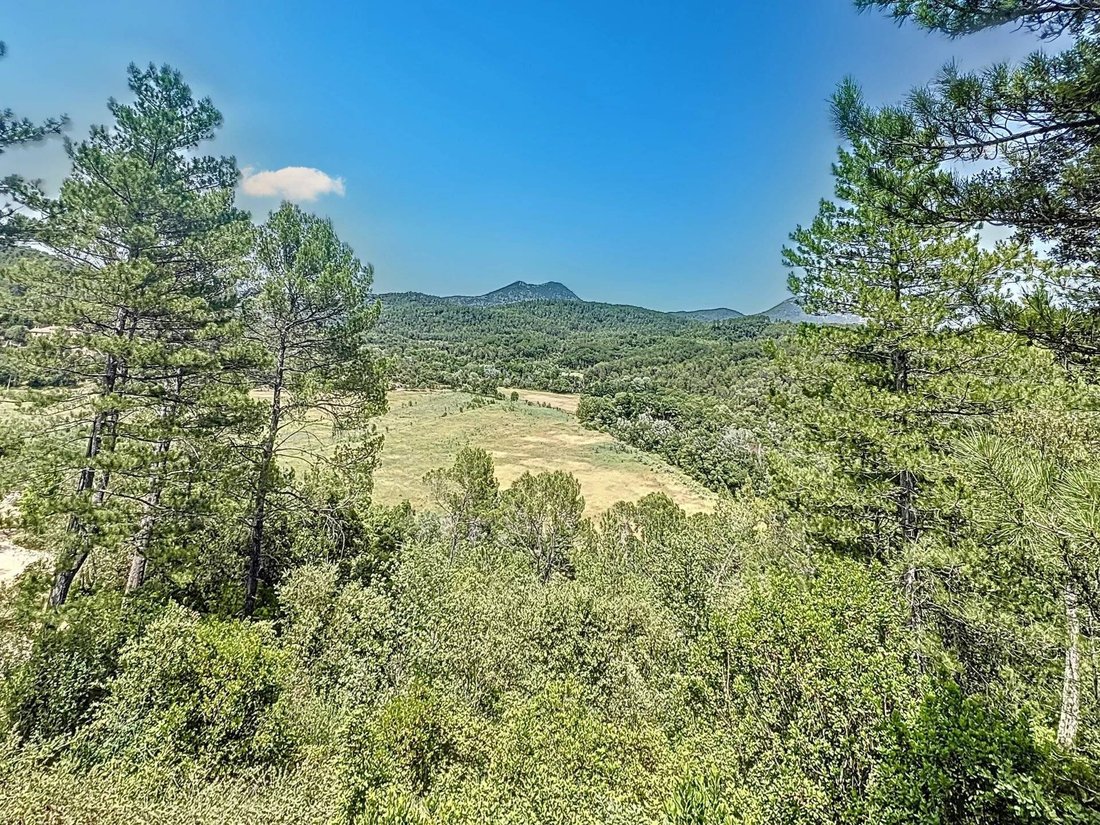 Estate in Chateauvert, Provence-Alpes-Côte d'Azur, France 4 - 16301667