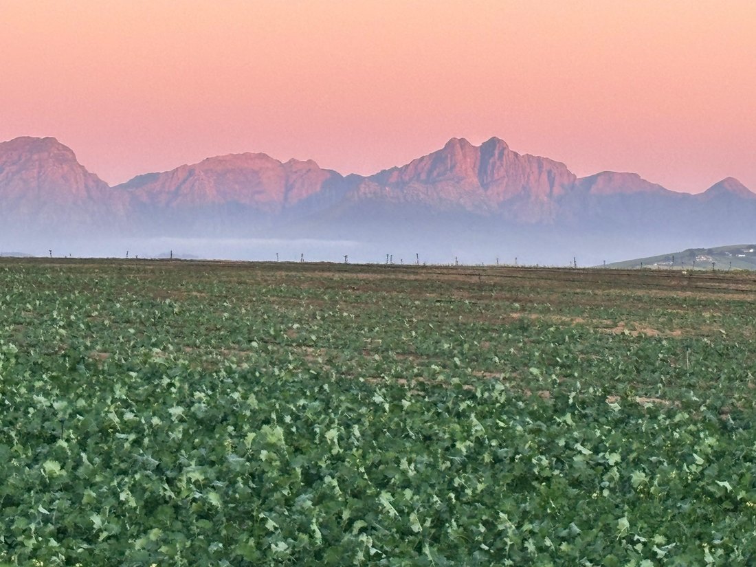 Farm Ranch in Greenway Rise, Helderberg, Cape Town 1 - 18915321