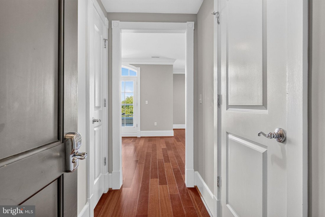 Condo in Alexandria, Virginia, United States 5 - 18908204